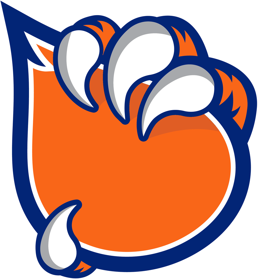 Bakersfield Condors 2015-2018 Secondary Logo iron on transfers for clothing